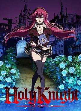 神圣骑士封面图