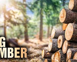 终极伐木达人第一季封面图