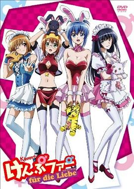 肯普法furdieLiebe封面图