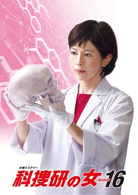 科搜研之女第16季封面图