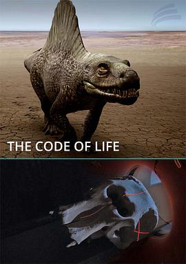 生命密码封面图