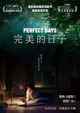 完美的日子封面图