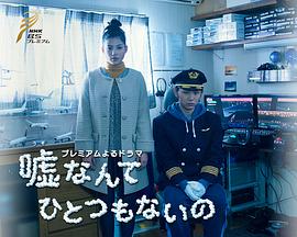 谎言什么的 一个都没有封面图