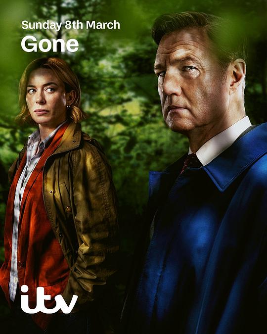 消失的妻子2026封面图