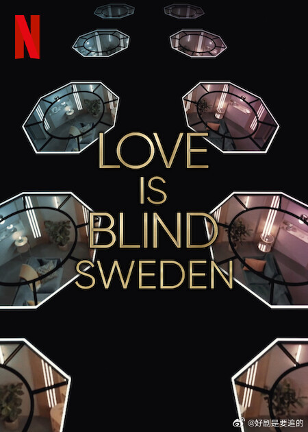 爱情盲选：瑞典篇第三季封面图