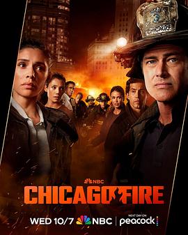 芝加哥烈焰第十五季封面图